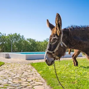  Farm stay Burro By Host Wise